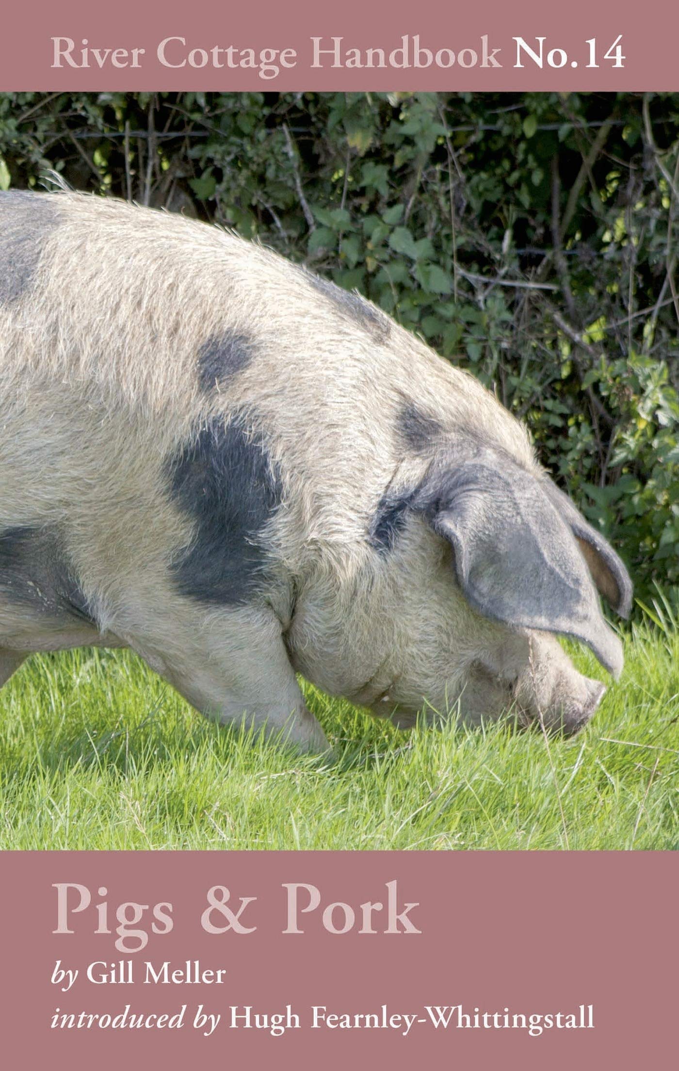 Pigs & Pork: River Cottage Handbook No.14 by Gill Meller (Hardcover, 2015)