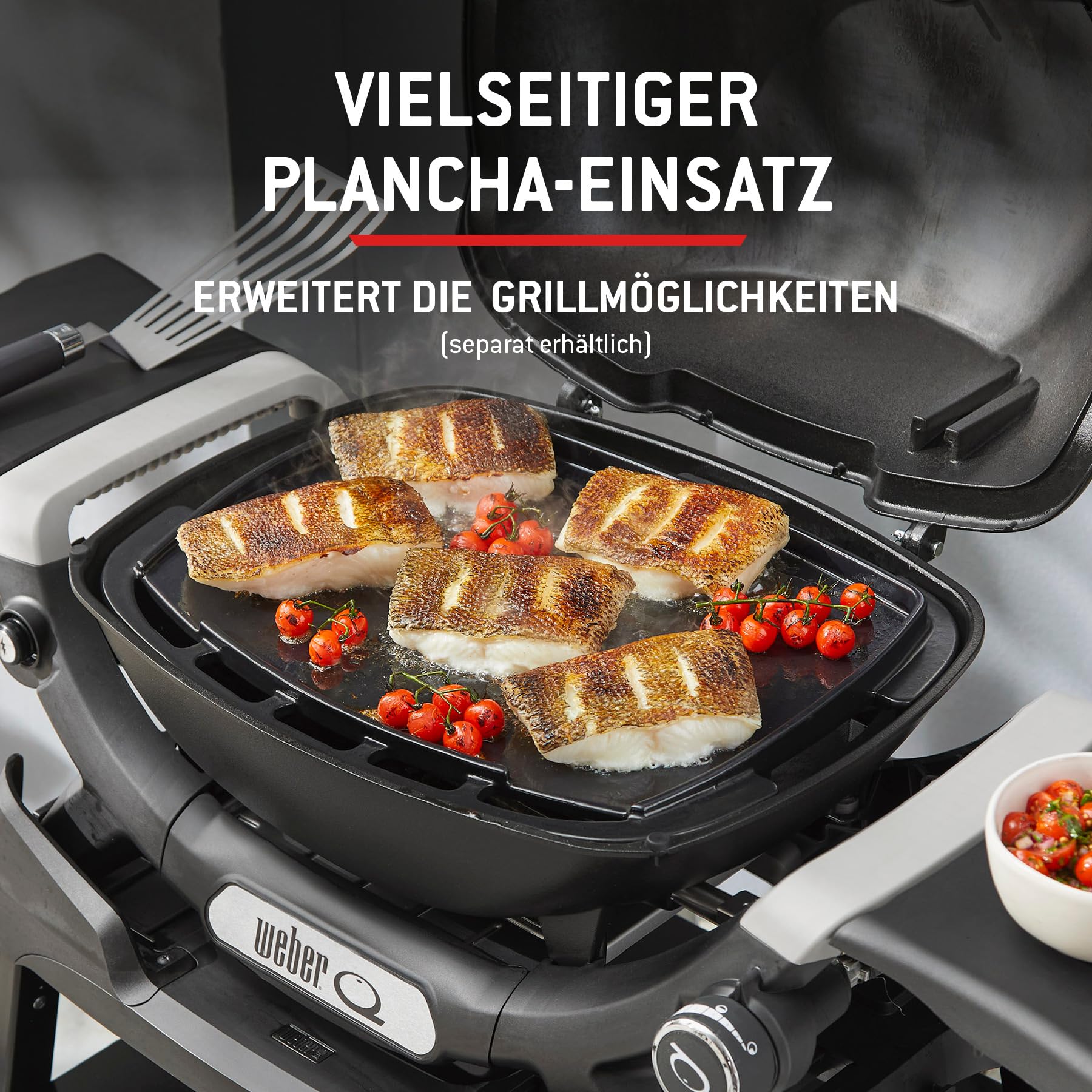 Weber Q 1200N Gasgrill mit Seitentischen und Stand