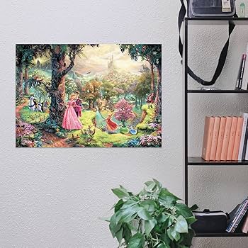 Amazon.com: MIGHTYPRINT Disney – Sleeping Beauty – Princess