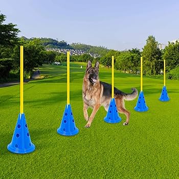 AufuN 6 Pack Handleset Coordination Training, Conical Obstacles 12 Red Cones: 32cm + 6 Yellow Bars