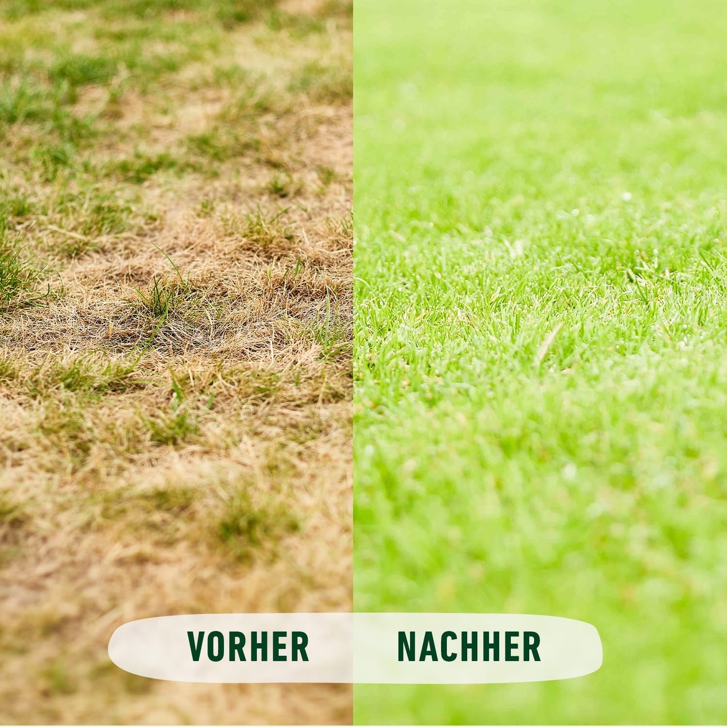 COMPO Engrais bio pour gazon 20 kg, engrais naturel avec effet longue durée pour 500 m²