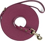 Wisedog Long Leash for Dogs Outside, 10M Burgundy | 10FT/16FT/33FT/49FT Options, Waterproof Training Leash, Antique Bronze Buckle, Rubber Coated Recall Lead