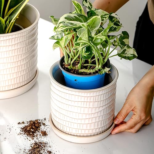 Vista 25 de Maceta de cerámica de 8 pulgadas: maceta de cerámica con orificio de drenaje y platillo para plantas de interior y exterior, maceta con bandeja