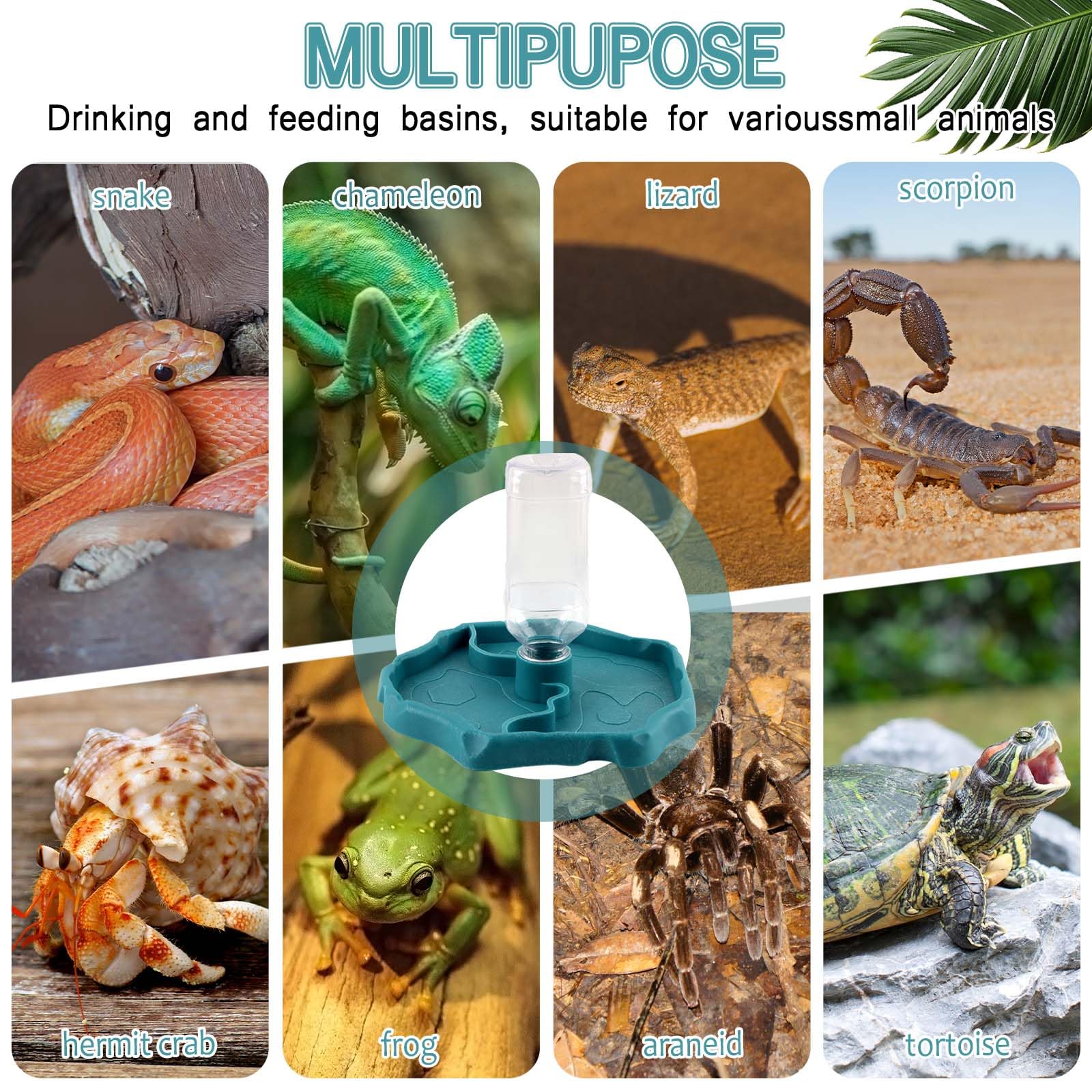 Hyran Bebedero Reptiles, Juego de Tazones de Agua de Tortuga 2 en 1, Reptil Bebiendo Agua + Cuenco de Comida, Accesorios para Reptiles para Tortuga, Lagarto, Hámster, Serpiente