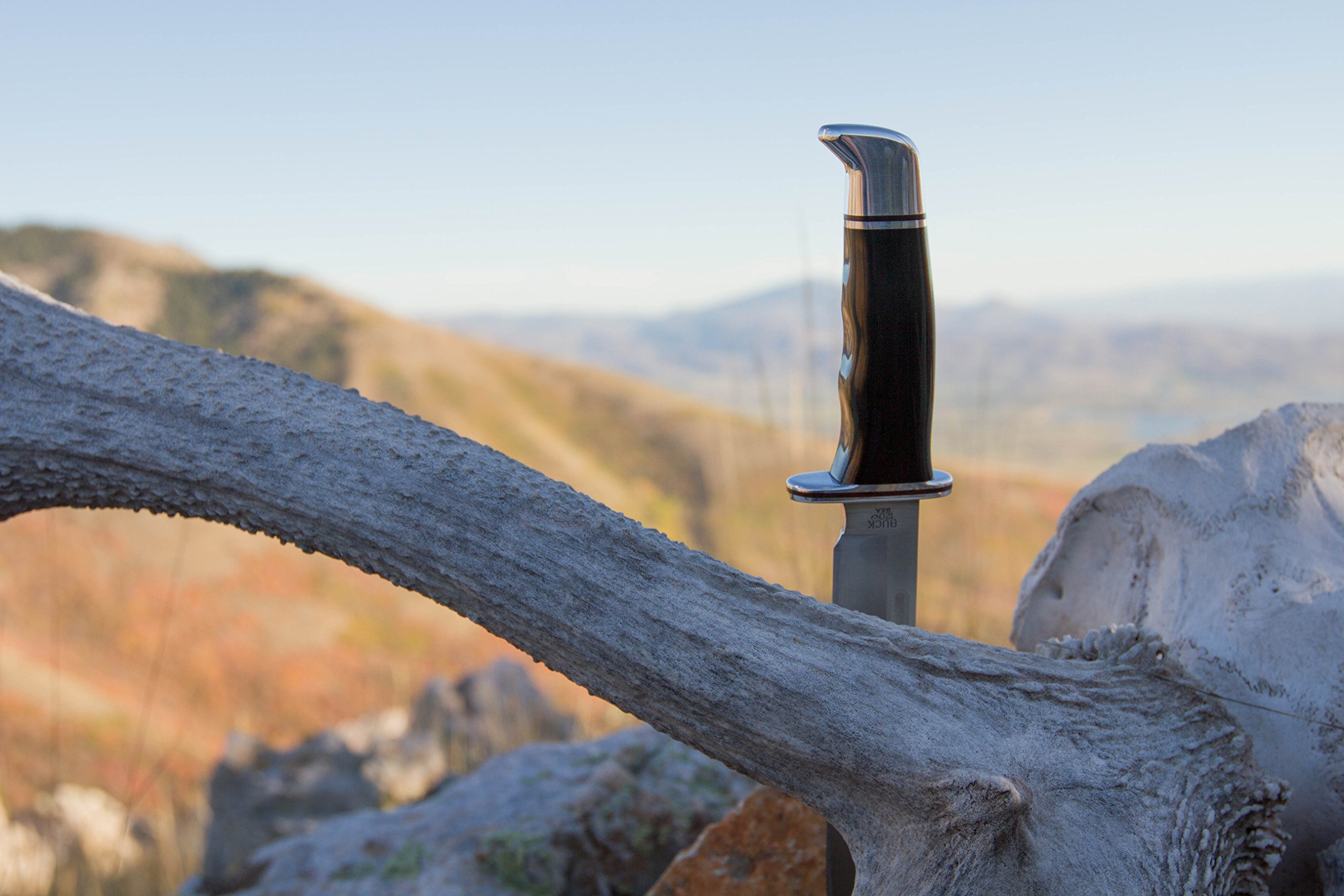 bushdebrunt　jamesfook checkmate 【L】 02HY004-thumb.jpg