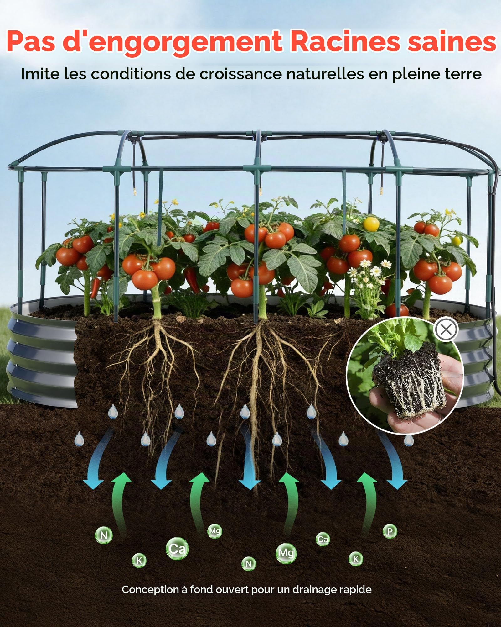VEVOR Potager Surélevé Métal 180x90x30 cm Carré Potager Surélevé à Arrosage Auto Lit de Jardin Ovale pour Culture Légumes Fleurs, Fond Ouvert, Galvanisé Aluminium-Zinc, avec Housse Filet, Gris Foncé