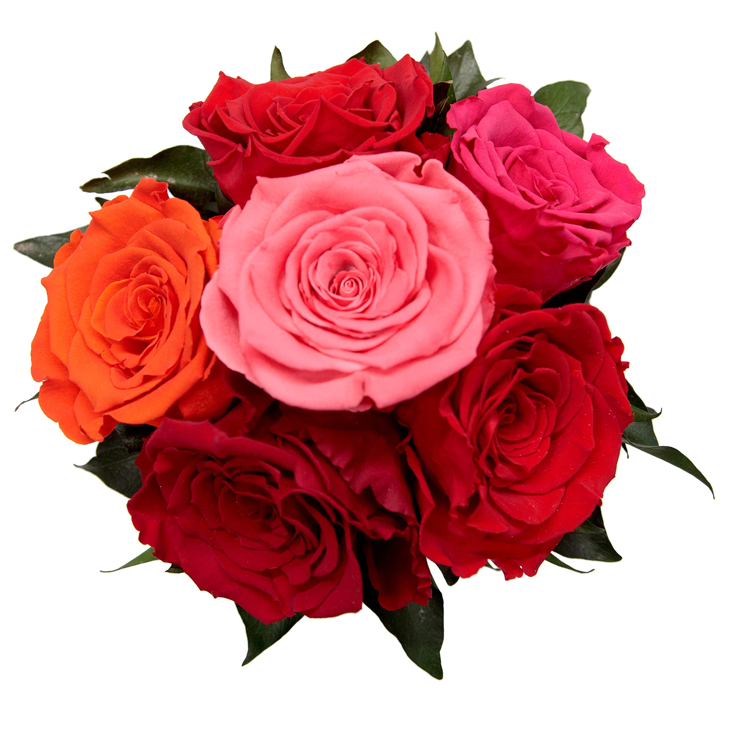 Rosengesteck 6 konservierte Rosen mit Efeublättern Infinity Rosenbox rund 3 Jahre haltbar Ø 20-23 cm Höhe 21 cm