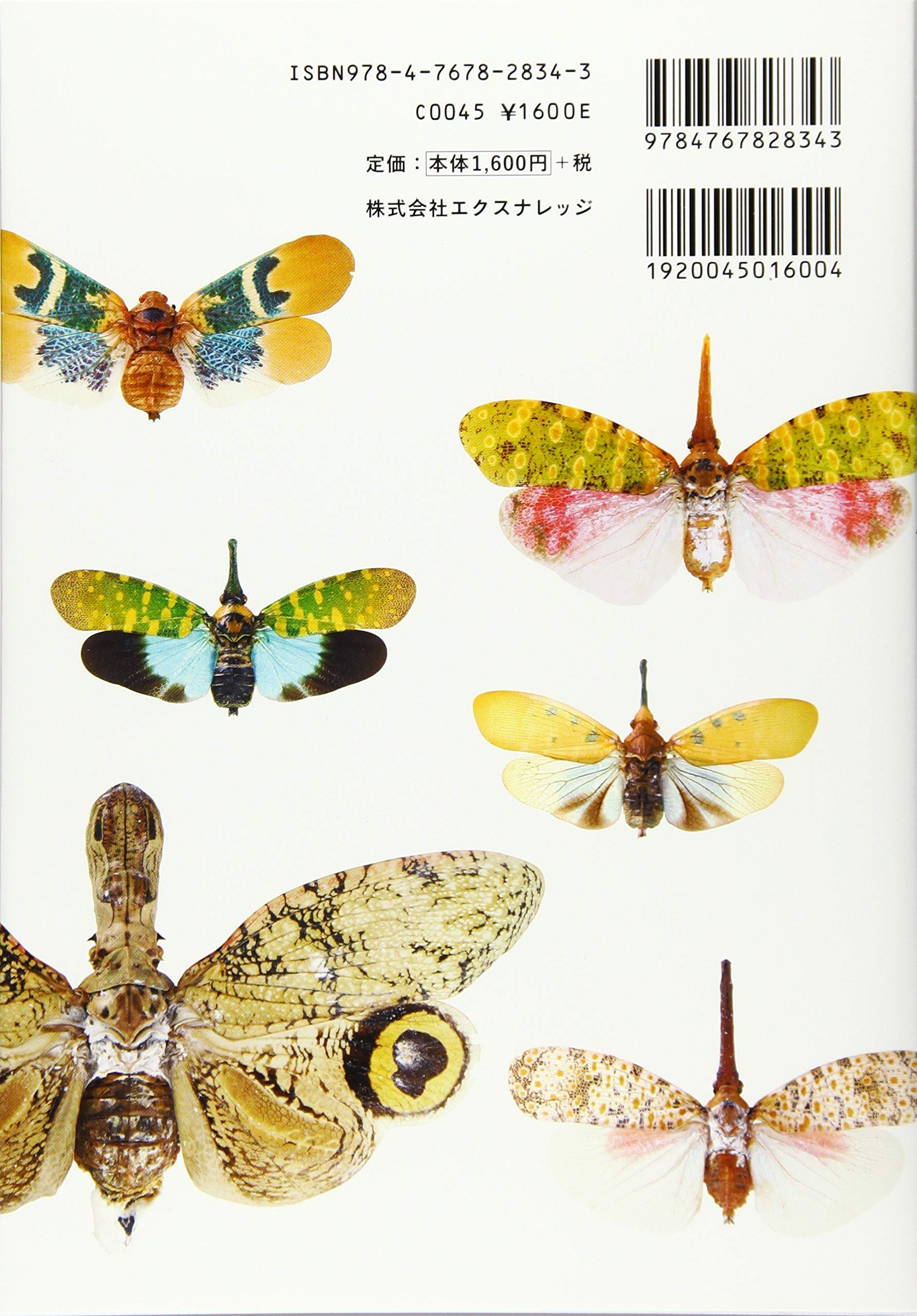 神秘の昆虫 ビワハゴロモ図鑑 丸山 宗利 本 通販 Amazon