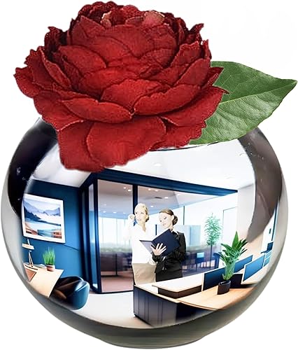 Skywin Jarrón de espejo convexo dorado para decoración de cubículo Espejo de cubículo multiusos de 4.5 pulgadas, espejo de escritorio para ver