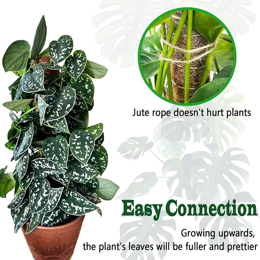 【Fumiti】21-22 MOSS STICK【70 SW Amazon.com : 4 Pack 22 Inch Moss Poles, Stackable Moss Pole for