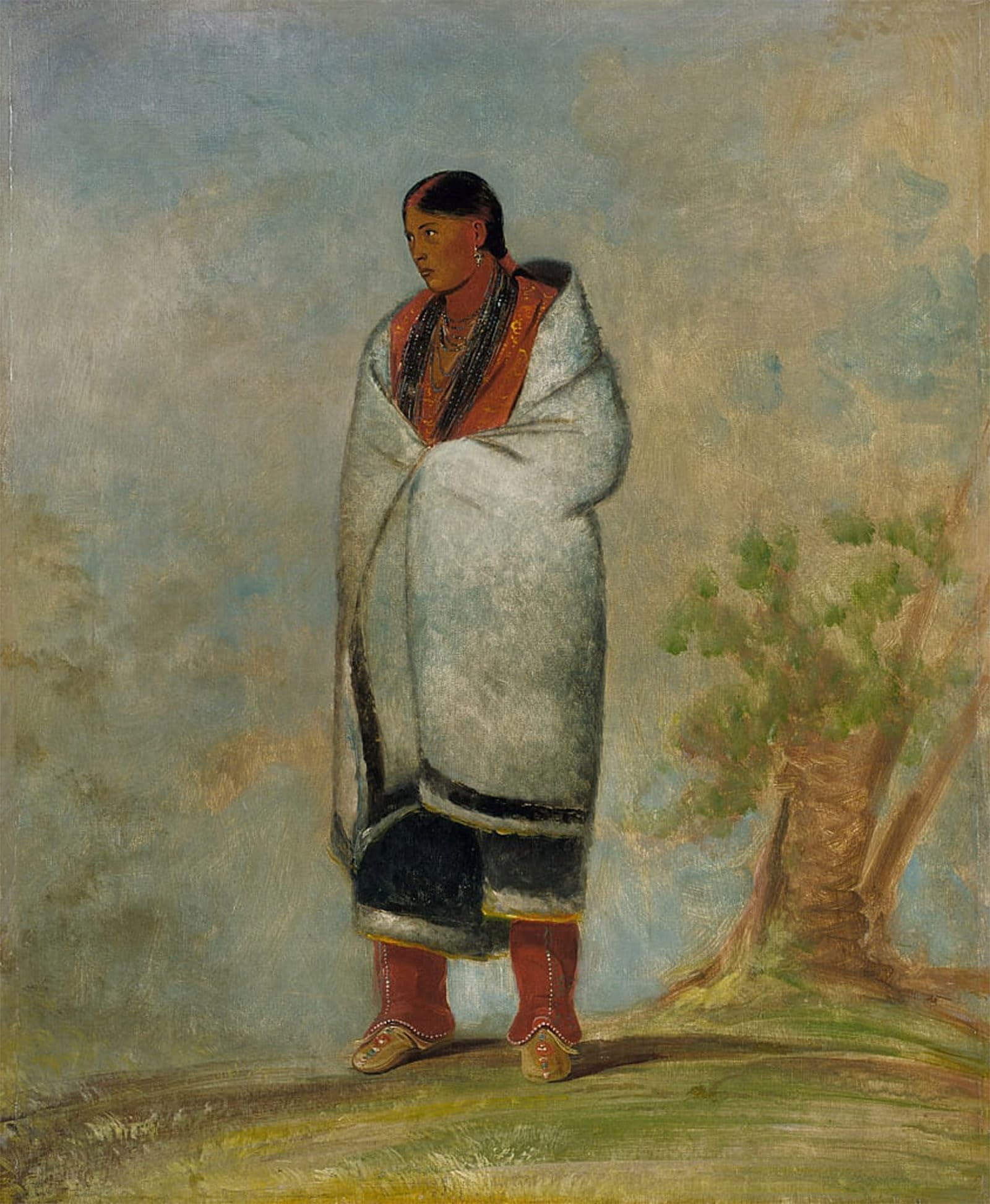 Cuadro de George Catlin 60x90cm para renovar las paredes del salón 5