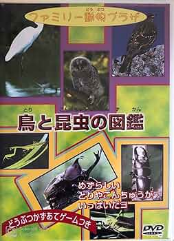ファミリー動物プラザ 鳥と昆虫の図鑑 81nY2h1NvpL._UF350,350_QL50_.jpg