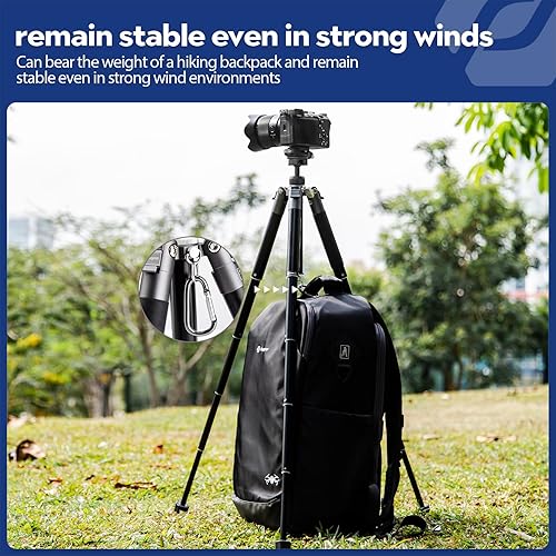 Miniatura 7 de Fotopro Mini trípode, trípode de viaje compacto y ligero de 60 pulgadas con cabeza de bola de 360 grados, soporte para teléfono desmontable para