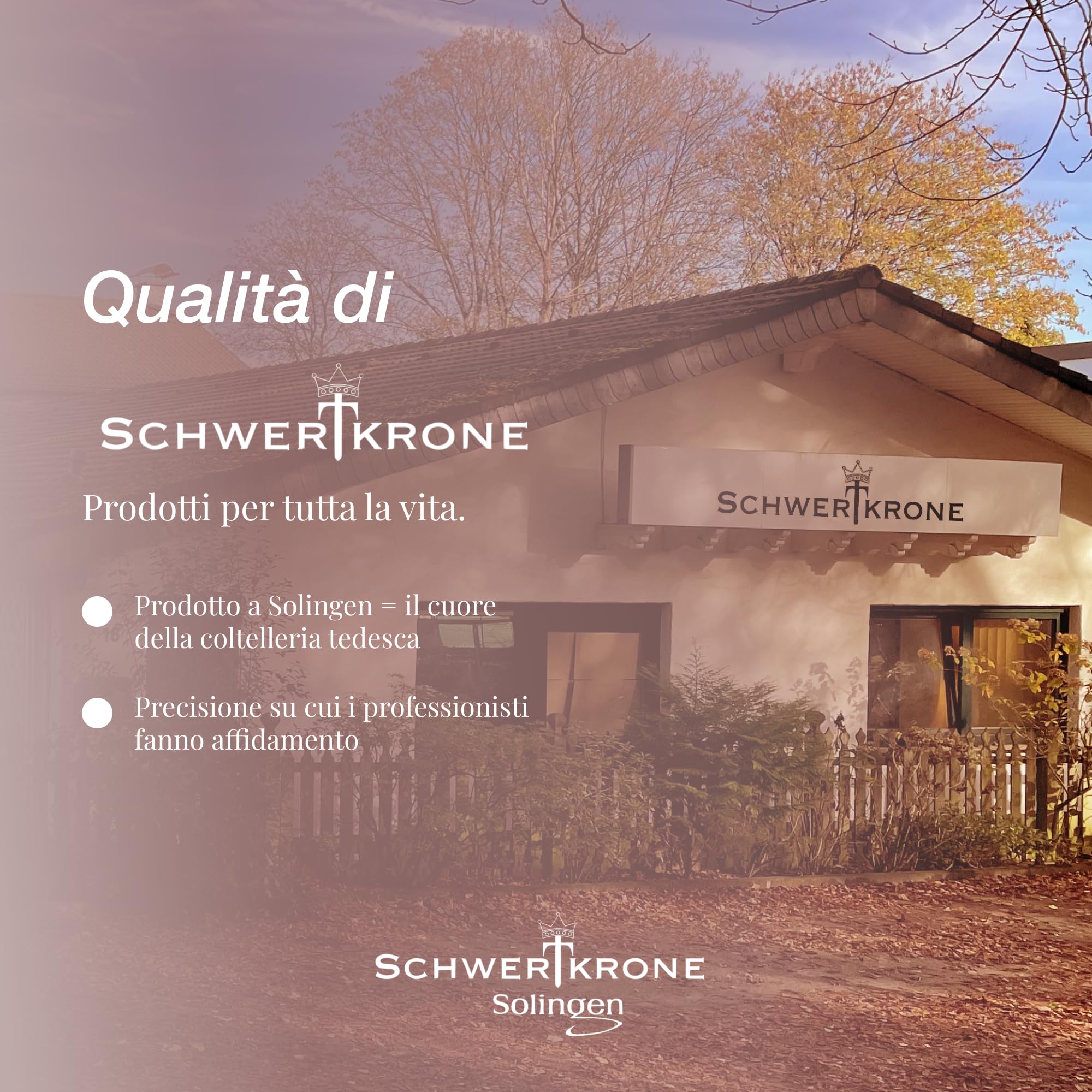 SCHWERTKRONE Set 4 Lime per Unghie in Zaffiro di Alta Qualità - Solingen, 4 Pezzi di Lime per Unghie in Diverse Misure, Ideali per Manicure e Pedicure