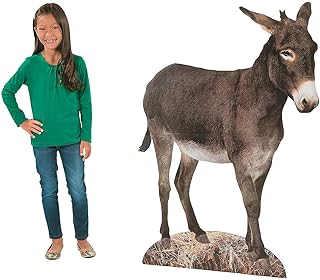 Fun Express - Donkey Nativity Stand up - Party Decor - Large Decor - Floor Stand Ups - 1 Piece