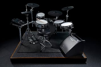 Roland PM-200 Compact Electronic V-Drum Set Monitor, 180 Watt (PM-200)