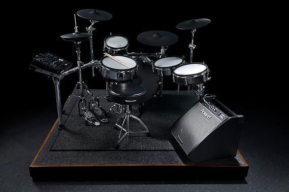 Roland PM-200 Compact Electronic V-Drum Set Monitor, 180 Watt (PM-200)