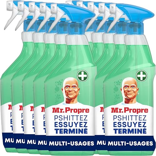 Mr Propre Vitres & Surfaces Spray 500 ml