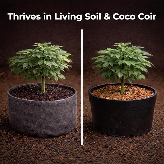 Real Growers Recharge 2 oz - Polvo para Crecimiento Radical con Micorrizas miniatura 5