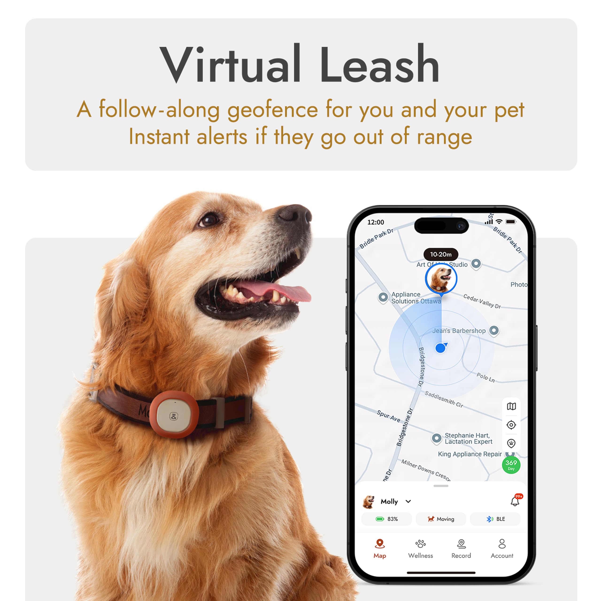 GPS + Bluetooth Pet Tracker for Cats & Dogs – Real‑Time Tracking, Virtual Fence, IP67 Waterproof, Up to 60‑Day Battery, Health Monitoring, iOS/Android – Subscription Required (Gold) - image 2