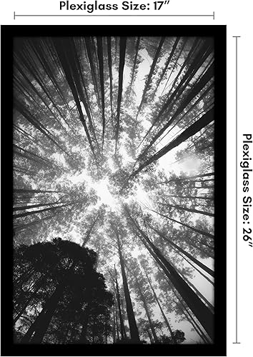 Vista 256 de Americanflat - Marco para póster de 71 x 74 cm con plexiglás pulido, portarretratos negro de madera industrializada, Epic Collection, marco ancho