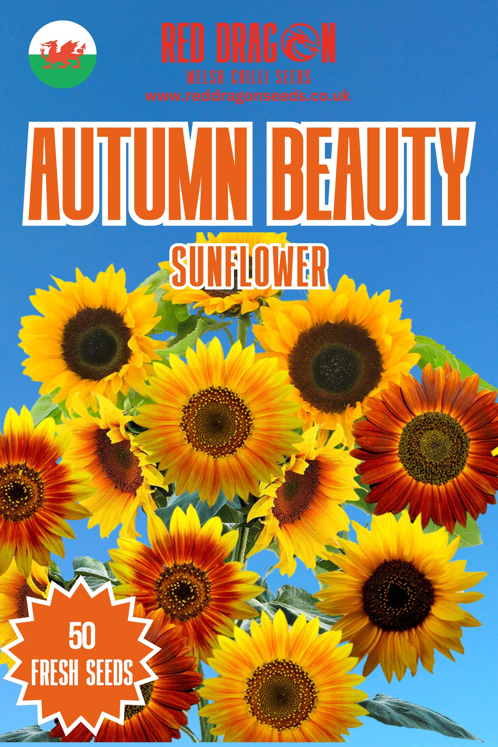 Autumn Beauty Sunflower Seeds - 50 Fresh Autumn Beauty Sunflower Seeds โ image 1