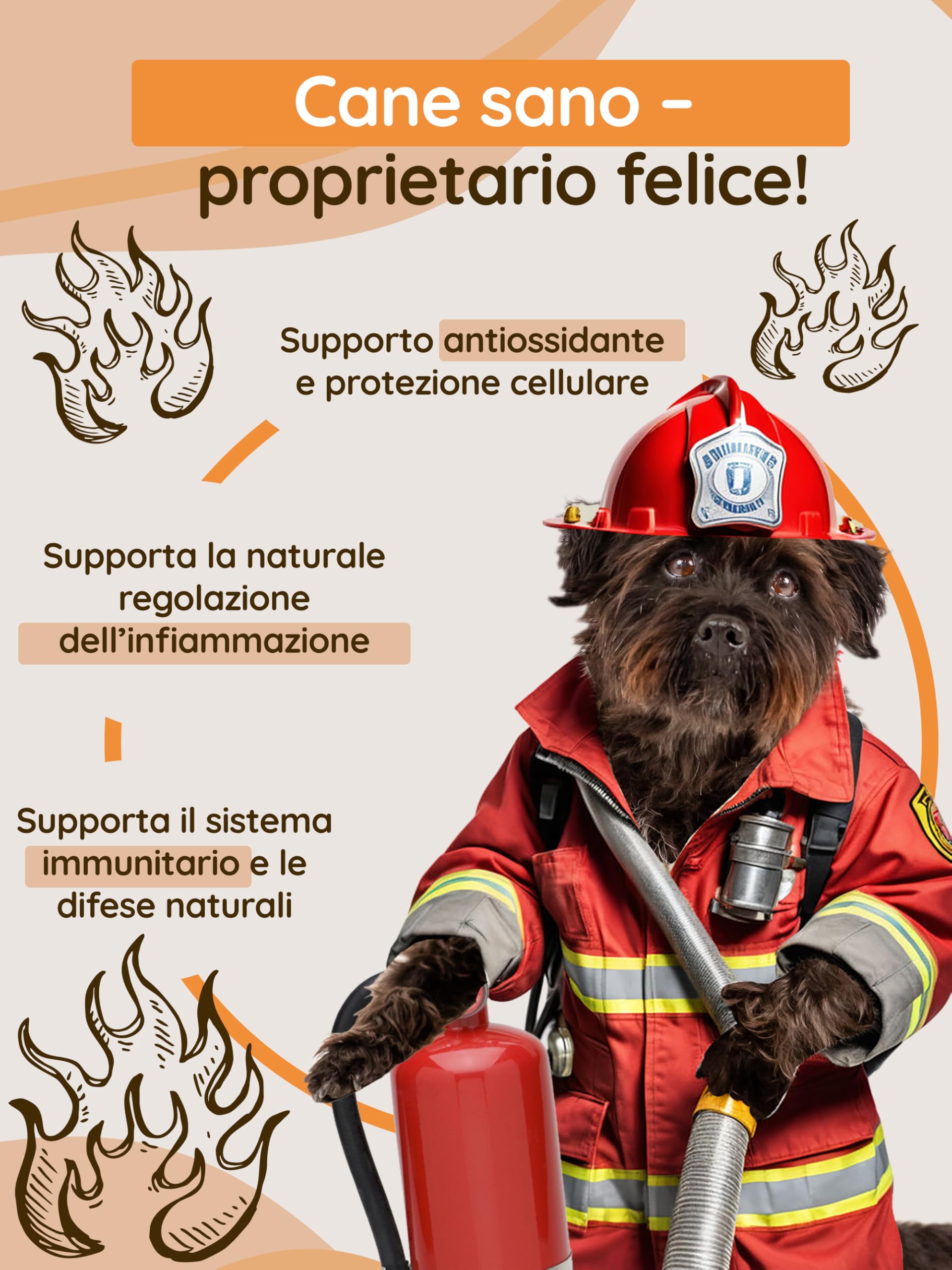 Supporto Immunitario per Cani - Complesso Concentrato di 6 Funghi Medicinali con Cordyceps, Reishi e Shiitake - Ricco di Beta Glucani - Vitamine per Cani - BIO, Naturale - 54 g
