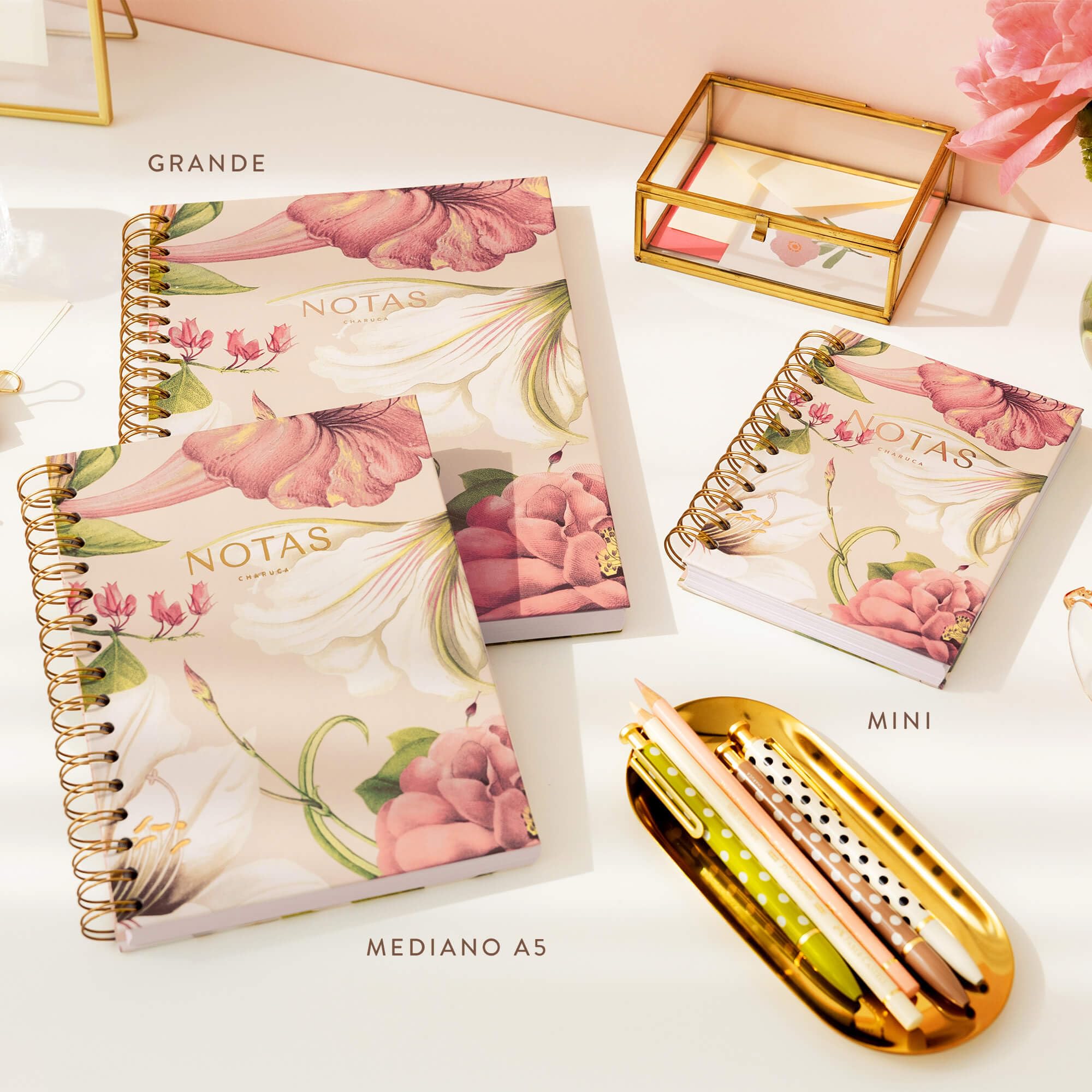 CHARUCA - Confezione da 3 quaderni medi (A5) con punti interni • Scegli le tue 3 copertine preferite • Include una penna in omaggio • Set di cancelleria per la tua organizzazione quotidiana