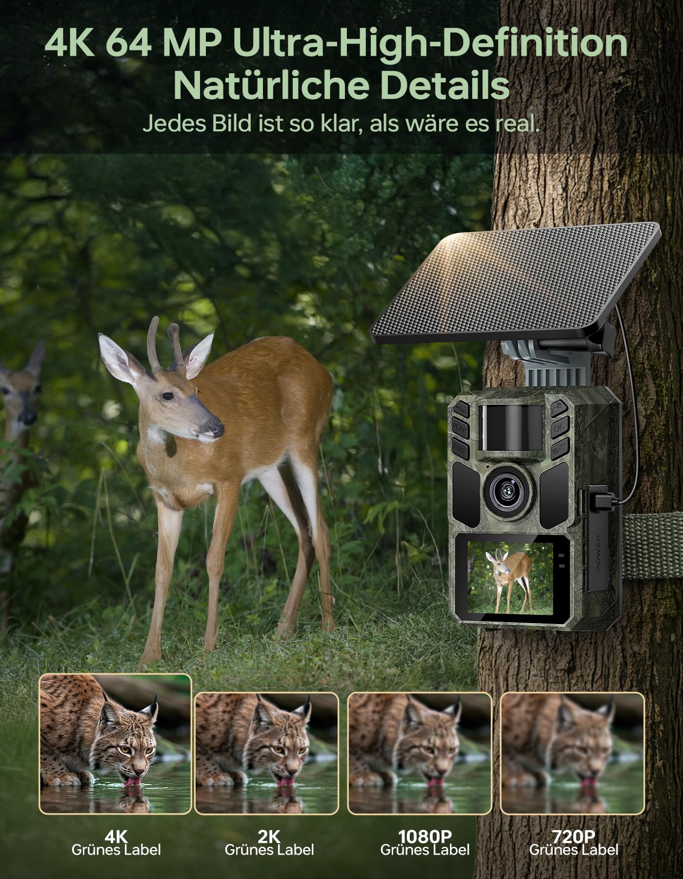 Wildkamera mit Handyübertragung App,Wildtierkamera 4K 64MP WLAN Solar mit Lithium-Batterie, Bewegungsmelder Nachtsicht, Inklusive 64GB SD Karte, 0,1s Auslösezeit, IP67 Wasserdicht
