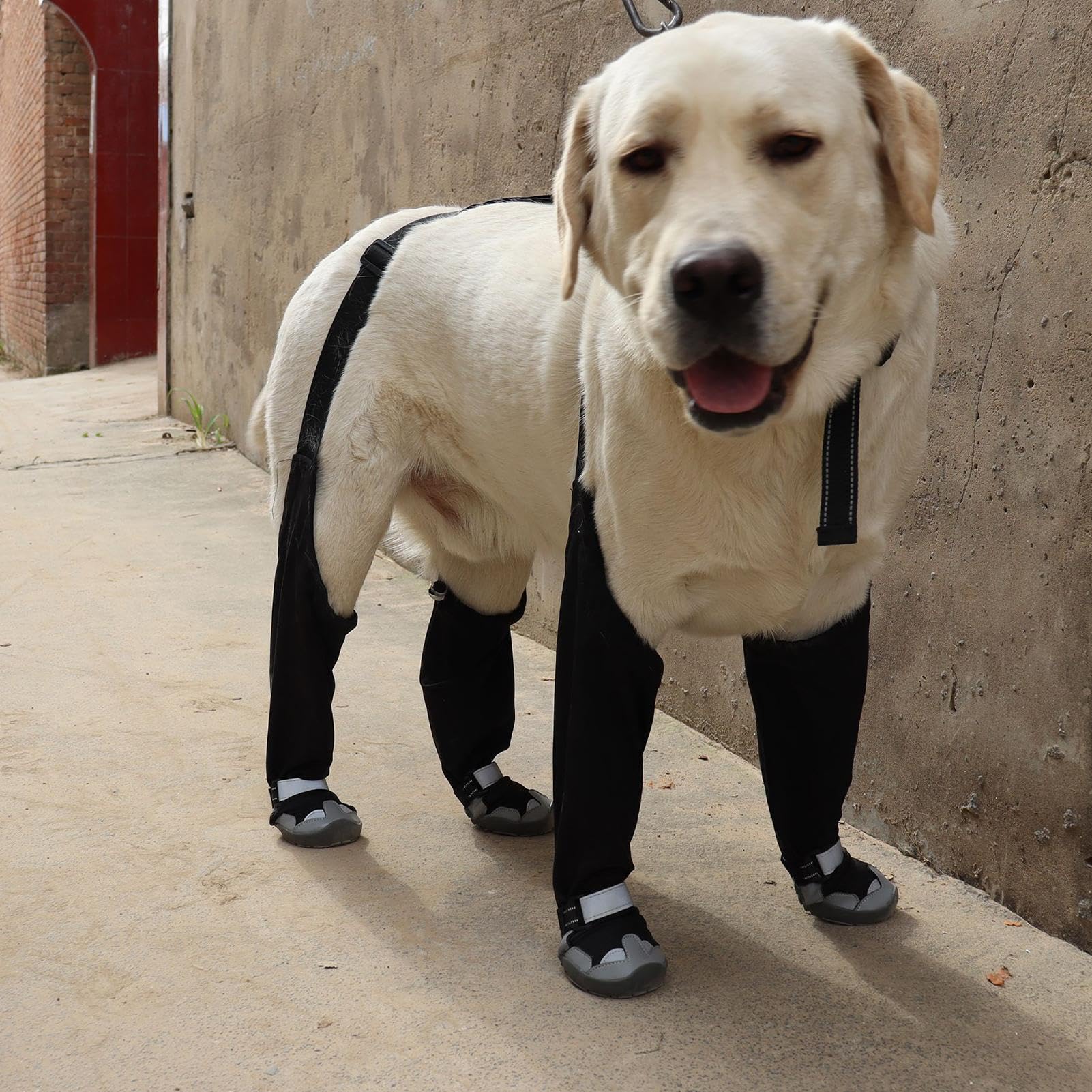 Bottes De Neige À Bretelles Pour Chien Chaussons Ajustables Anti-Dérapant | Chaussures À Suspentes Pour Chien Pour Marche Extérieure Hiver Neige Pluie