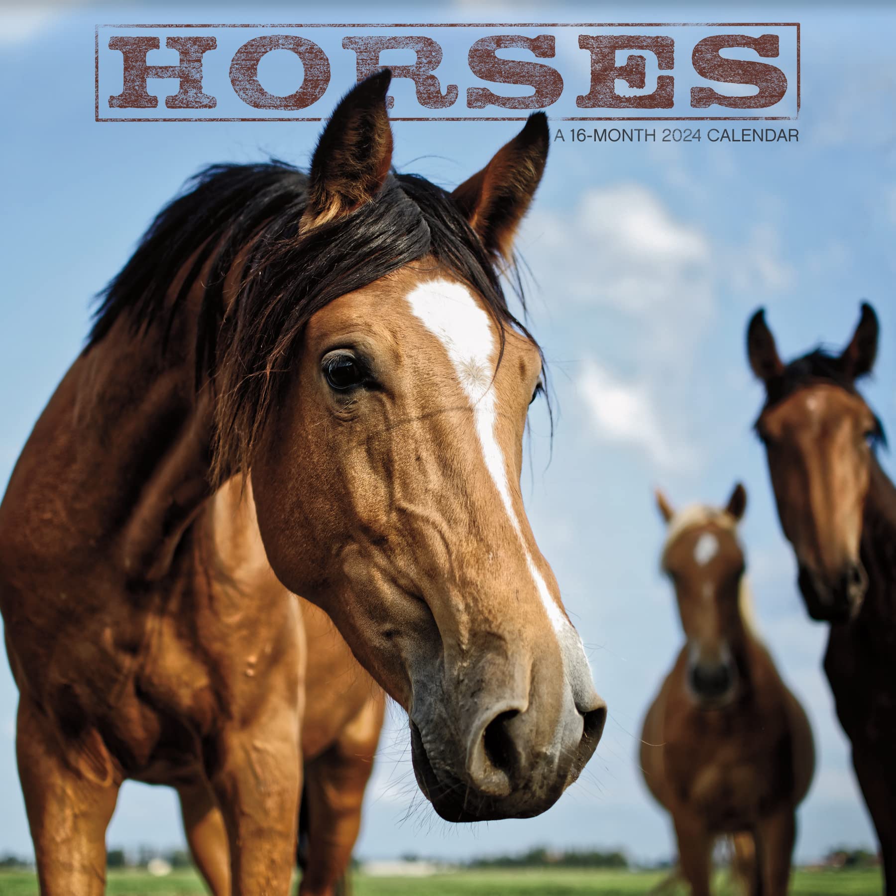 2024 Horses Mini Wall Calendar