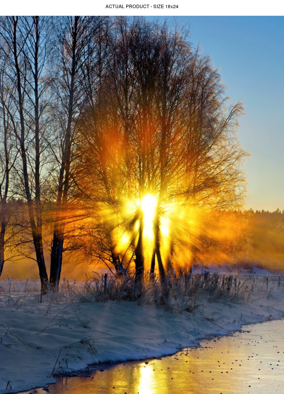 WindowPix 18x24 Inch Decorative Static Cling Window Film Blazing Tree on Icy Road . Printed on Clear for Window Glass panels. UV protection, Energy Saving.