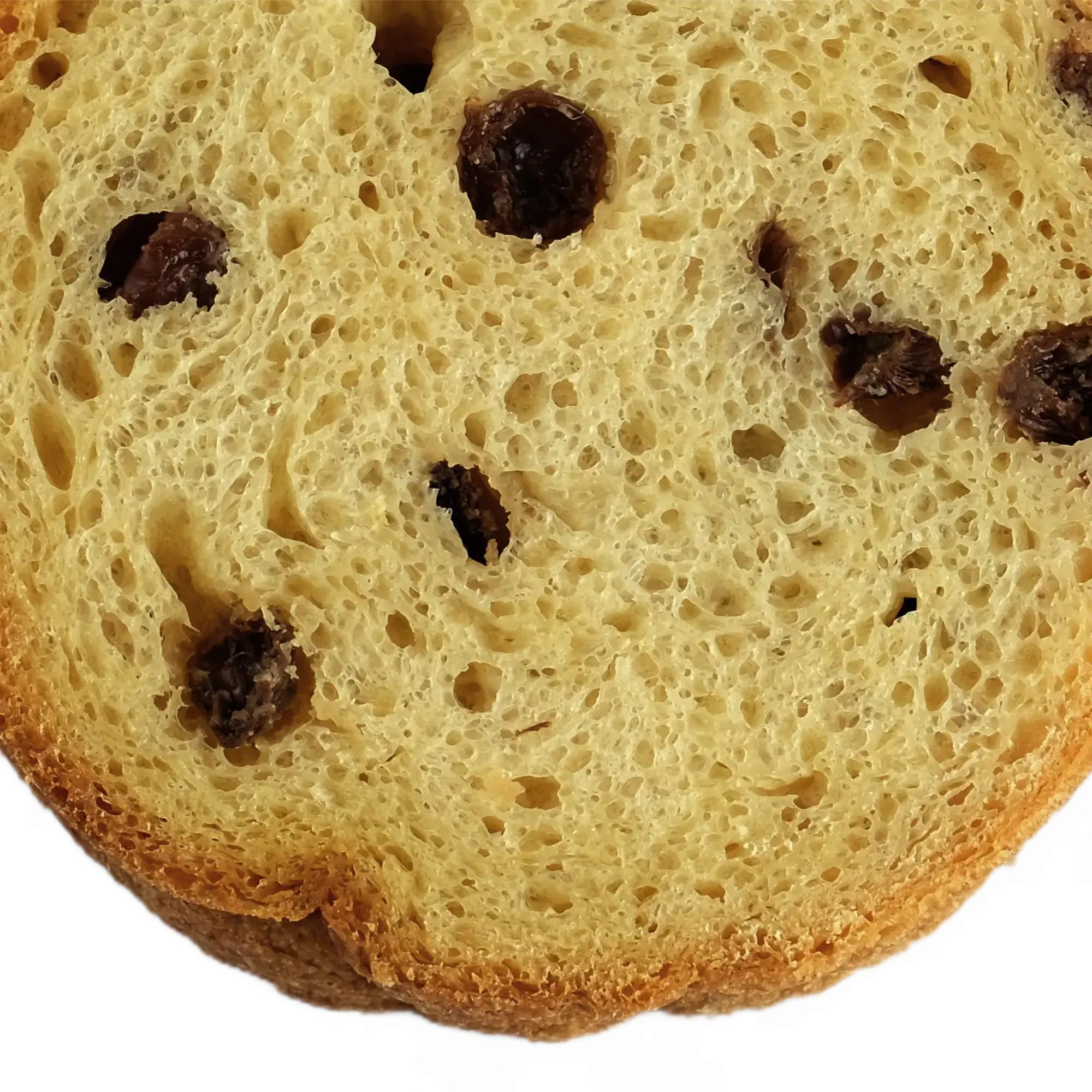 LANDSTREICHER BIO Dosenbrot, Rosinenbrot, 5 Jahre haltbar, 6er Pack (6 x 340g)