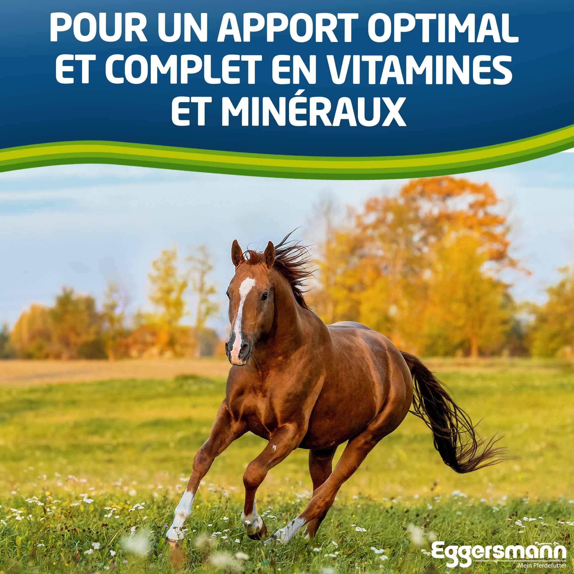Eggersmann Mein Pferdefutter Horse Vital Plus 10 kg – Nourriture minérale pour Chevaux de Toutes Sortes – Nourriture pour Chevaux Riche en vitamines pour Un approvisionnement Optimal – pour compléter
