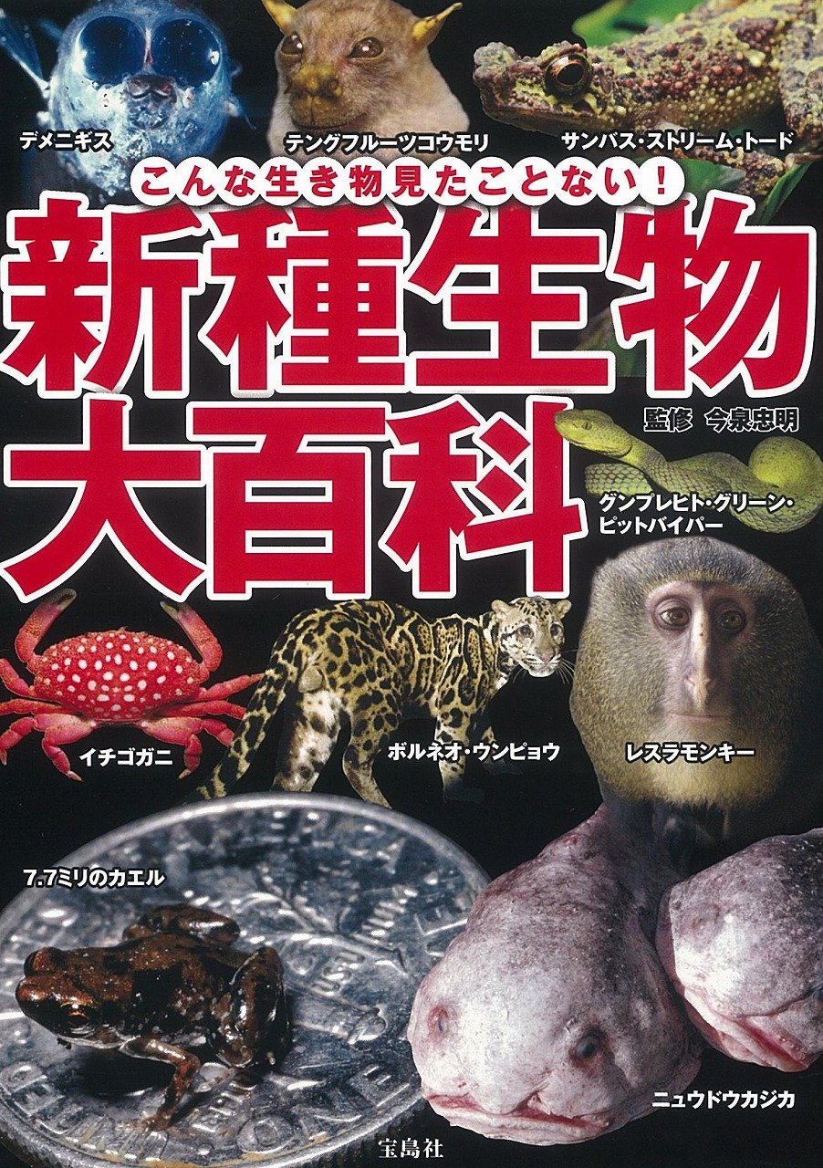 新種生物大百科 こんな生き物見たことない 今泉 忠明 本 通販 Amazon