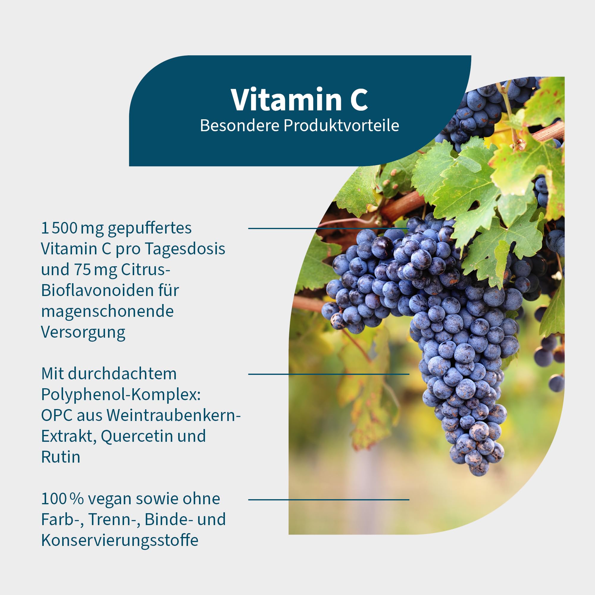 NatuGena Vitamin C, PureWay-C- & Polyphenol-Komplex, OPC aus Weintraubenkern-Extrakt und Querecitin, 90 Kapseln (1 Monats Packung)