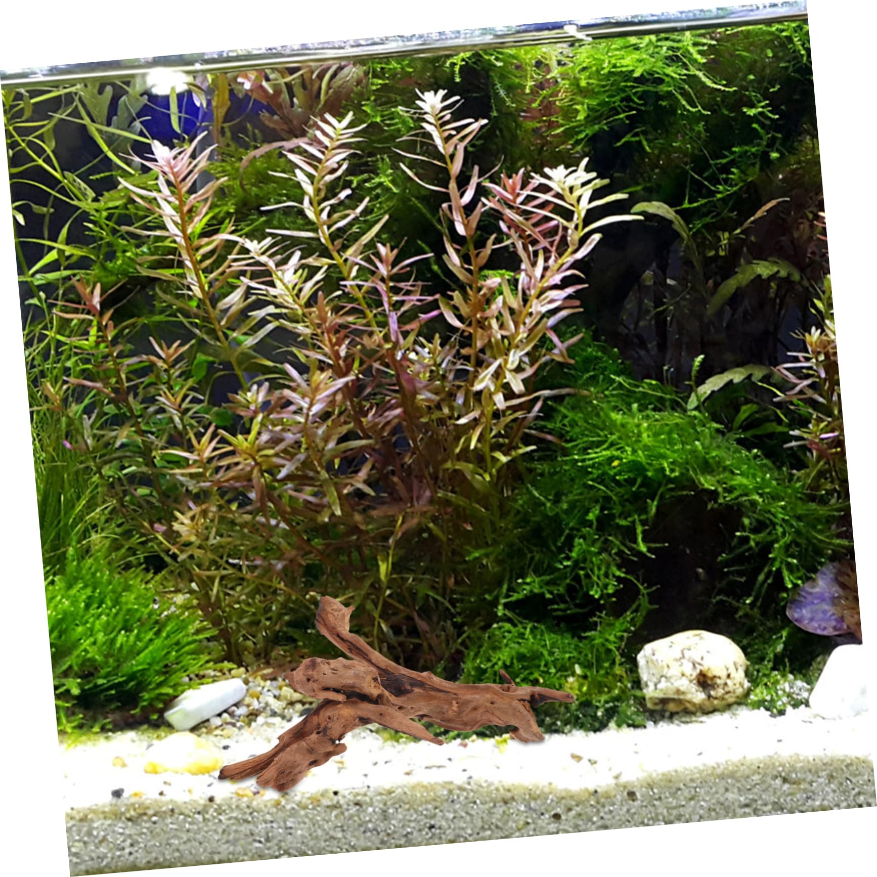 HANABASS Realistic Dead-Wood Fish Tank Adornments Natural Aquarium Decor for Modern Fish Tanks
