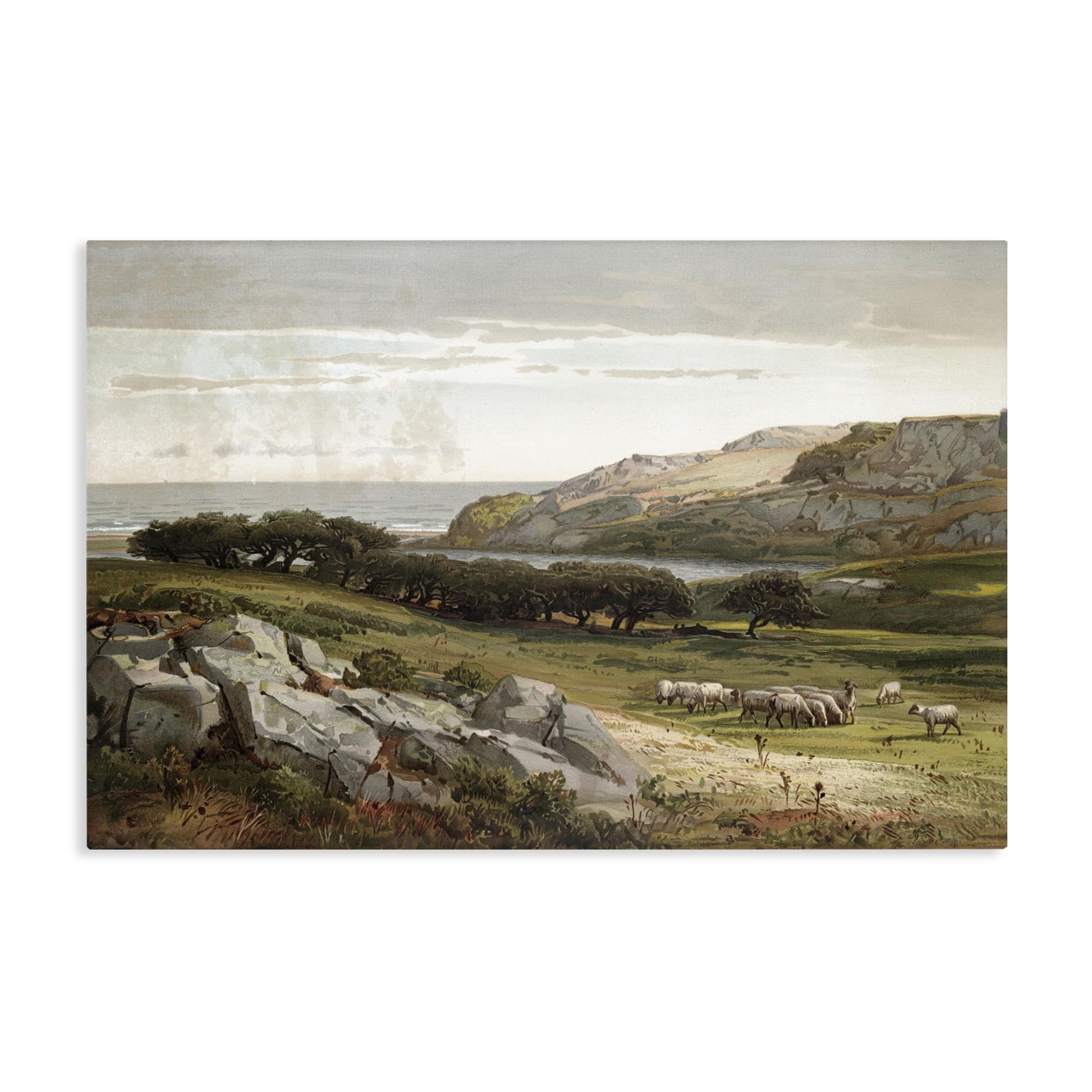 Stupell Industries Unframed Sheep In Pastoral Landscape, 24 X 36 Inch Canvas Wall Art