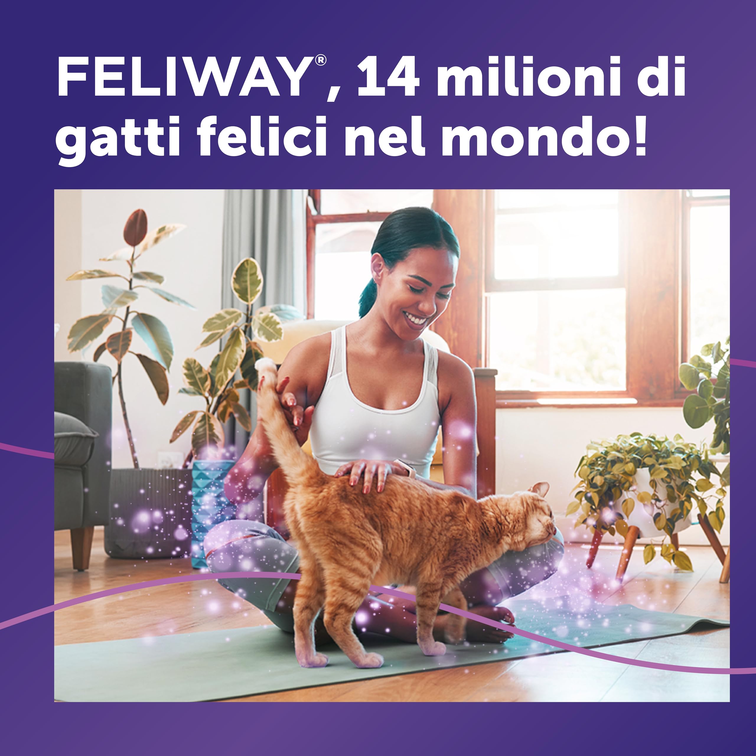 FELIWAY Classic Starter Kit Diffusore di Feromoni Calmanti per Gatti, 48 ml – Aiuta a risolvere i segni comuni di stress nei gatti e gattini, Raccomandato dai Veterinari, Clinicamente Testato