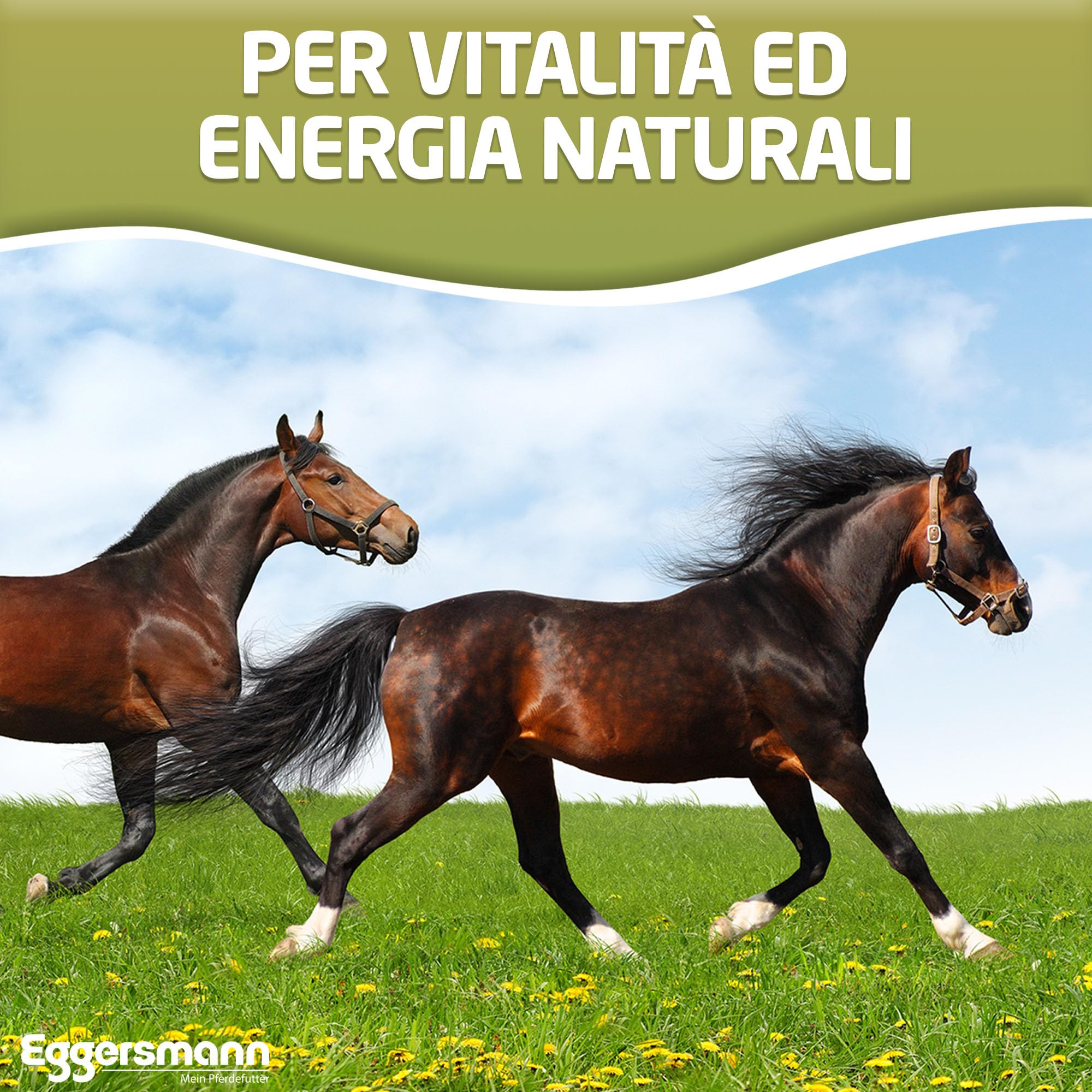 Eggersmann Fiocchi d'orzo 15 kg – Mangime Singolo ad Alto Contenuto energetico – Fiocchi d'orzo Adatti per Cavalli, Pony, polli e Piccoli Animali – Ideale per intolleranza all'avena
