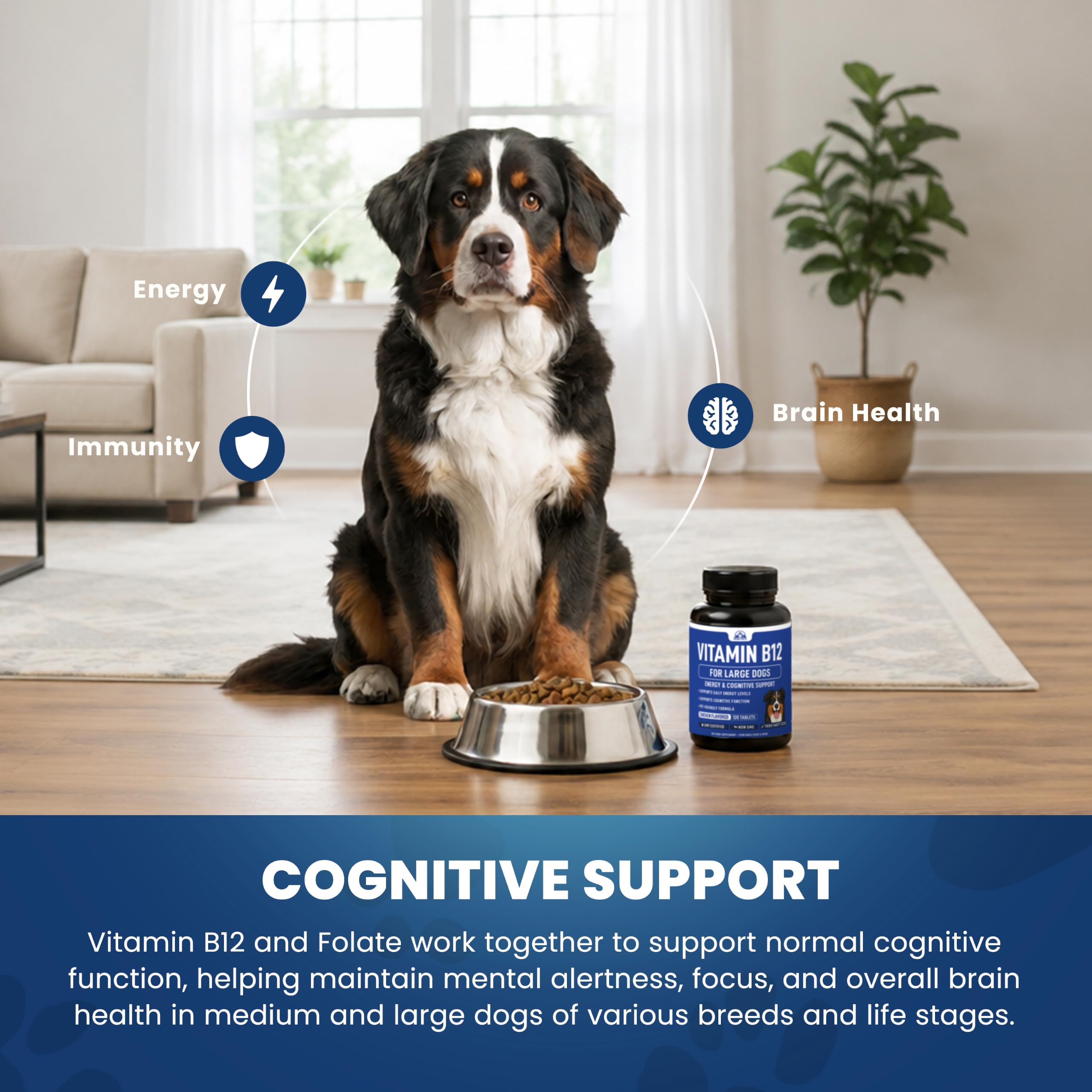 Vitamin B12 Supplement for Medium & Large Dogs with Cobalamin, Folate - Vitamin B12 for Dogs Tablet Energy & Cognitive Support - 120 Chicken Flavored Chewable Tablets -Third Party Tested, Non GMO — Amazon image 7