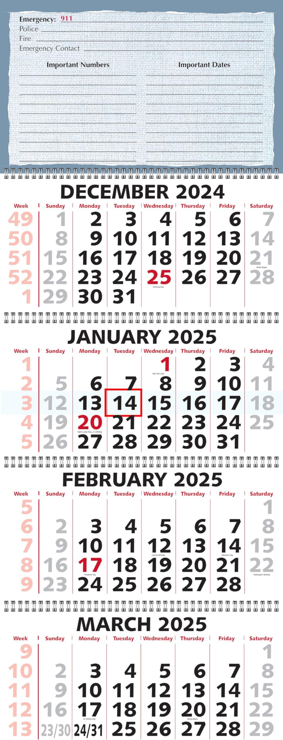 Geiger-Office 4 Month Wall Calendar 2025 Large Format 33 X 90 Cm