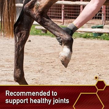 Vita Flex MSM Ultra Pure Joint Supplement for Dogs, Horses & Cats, 4 lbs