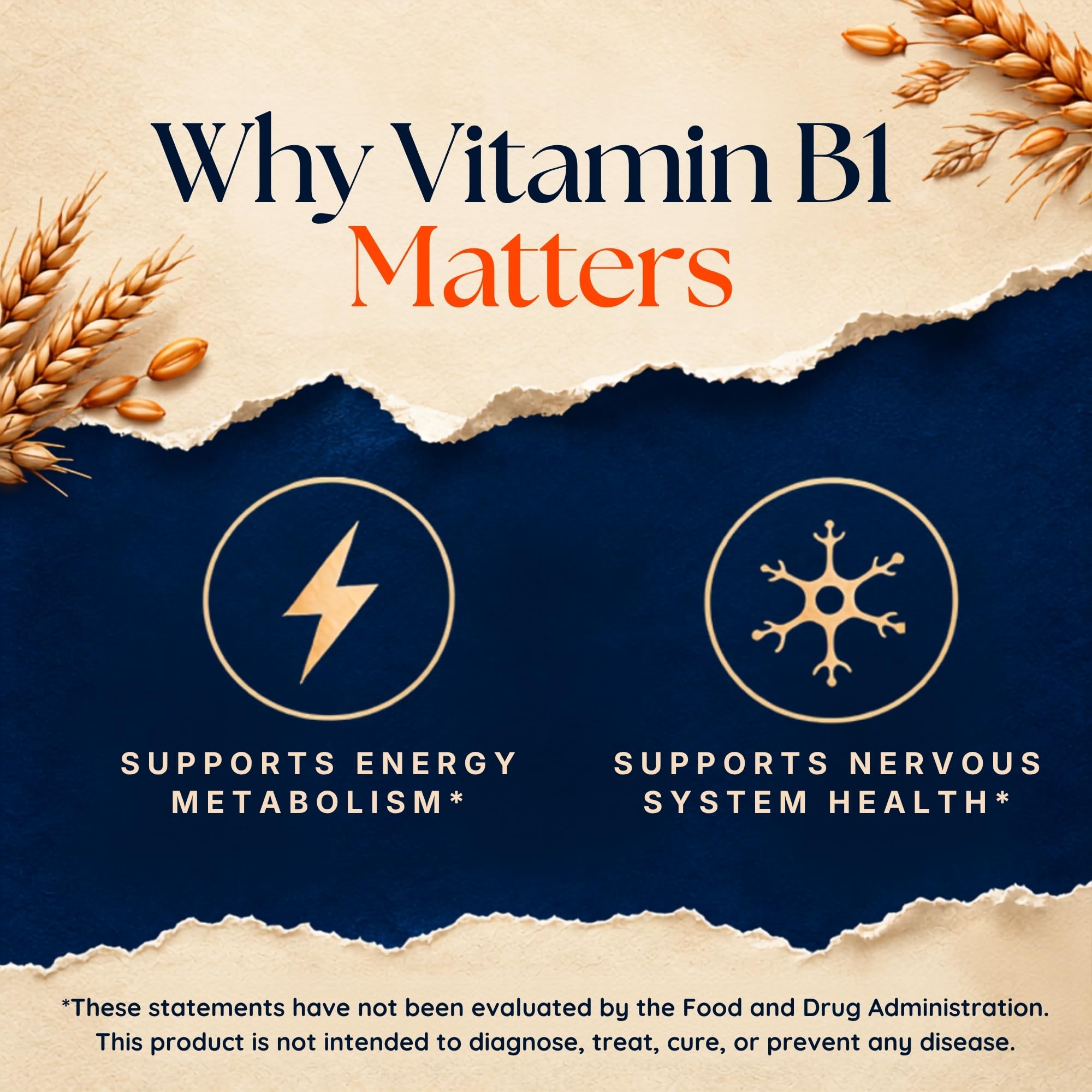 Vitamatic Vitamin B1 500 mg (Thiamine Mononitrate), 120 Capsules — Amazon image 4