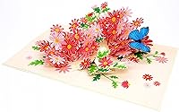 Vista 9 de PopLife Tarjeta desplegable 3D de margaritas coloridas con margaritas para el día de la madre, tarjeta de cumpleaños, aniversario, agradecimiento
