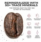 Danger Coffee by Dave Asprey, Remineralized, Mold Free & Lab Tested Whole Bean Coffee, Medium Roast, 10.9 Ounce