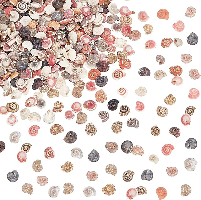 PandaHall Elite Colorful Tiny Sea Shell Ocean Beach Spiral Seashells Craft Charms for Resin Craft Candle Making Home Decoration Beach Theme Party Wedding Decor Fish Tank Vase Filler, No Hole, 190g