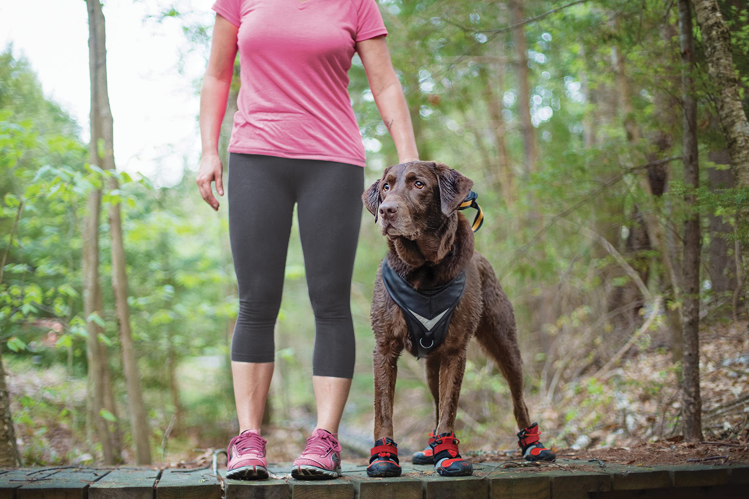 Kurgo Hundeschuhe Blaze Cross, Zum Schutz der Pfoten, Für jede Jahreszeit, Wasserdicht und reflektierend, Größe S, Rot