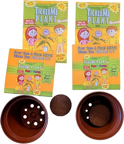 2 TickleMe Plant plantas para souvenirs de fiestas o como Kits de ciencia levanta las hojas cuando le hacen cosquillas gran souvenir de boda para 2 TickleMe Plant plantas para souvenirs de fiestas o como Kits de ciencia levanta las hojas cuando le hacen cosquillas gran souvenir de boda para