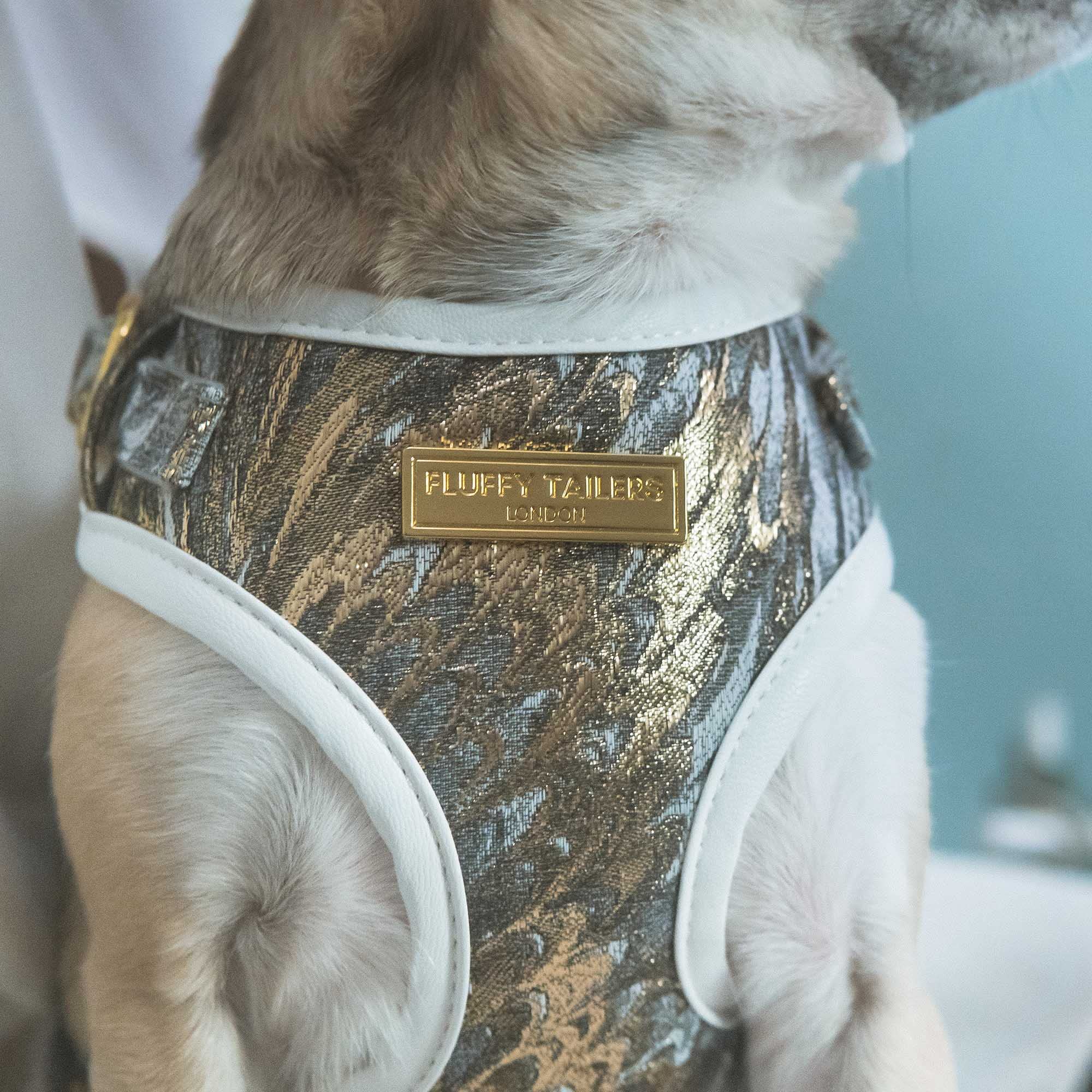 Fluffy Tailers Luxury Velvet Gold Occasion Dog Adjustable No Pull Harness with Breathable Chest Strap for Small & Medium Sized Dogs - Image 3
